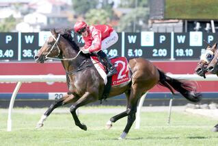 Ferrando wins the G3 Mongolian Khan Trophy at Ellerslie. Photo: Trish Dunell